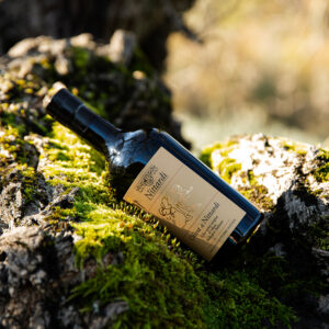 Oliva di Nittardi 2025