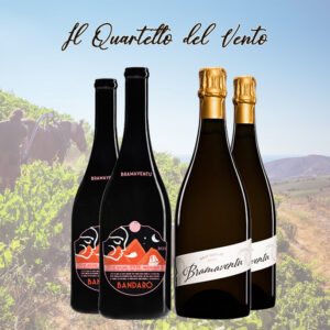 Il Quartetto del Vento